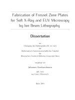 Fabrication of fresnel zone plates for soft x ray and EUV microscopy by ion beam lithography