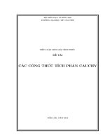Bài tiểu luận các công thức tích phân cauchy