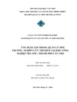 ứng dụng gis trong quản lý môi trường. nghiên cứu thí điểm tại khu công nghiệp trà nóc, thành phố cần thơ