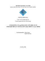 ảnh hưởng của ph ban đầu lên hiệu suất sinh khí mêtan với nguyên liệu rơm và lục bình