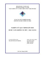 nghiên cứu quy trình lên men rượu vang khóm cầu đúc  hậu giang