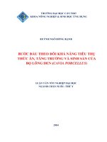 bước đầu theo dõi khả năng tiêu thụ thức ăn, tăng trưởng và sinh sản của bọ lông đen (cavia porcellus)