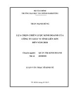 lựa chọn chiến lược kinh doanh của công ty giấy vi tính liên sơn đến năm 2020 
