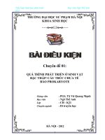 QUÁ TRÌNH PHÁT TRIỂN Ở SINH VẬT BẬC THẤP CẤU TRÚC CHƯA TẾ BÀO PROKARYOTE