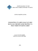 ảnh hưởng của bốn loại vật liệu đựng giá thể đến sinh trưởng và phát triển ớt kiểng ghép 