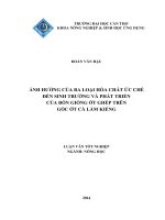 ảnh hưởng của ba loại hóa chất ức chế đến sinh trưởng và phát triển của bốn giống ớt ghép trên gốc ớt cà làm kiểng 