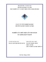 nghiên cứu điều kiện lên men rượu từ giống bắp vn2599