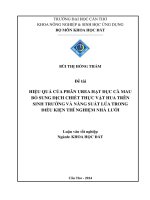 hiệu quả của phân urea hạt đục cà mau bổ sung dịch chiết thực vật hua trên sinh trưởng và năng suất lúa trong điều kiện thí nghiệm nhà lưới