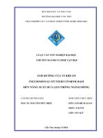 ảnh hưởng của vi khuẩn pseudomonas stutzeri cố định đạm đến năng suất dưa leo trồng ngoài đồng