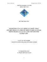 ảnh hưởng của các giống lúa khác nhau lên biến động của một số nhóm vi khuẩn có lợi trong ruộng lúa luân canh với nuôi tôm tại bạc liêu