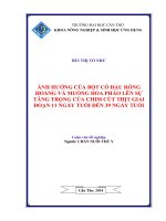 ảnh hưởng của bột cỏ đậu rồng hoang và muồng hoa pháo lên sự tăng trọng của chim cút thịt giai đoạn 11 ngày tuổi đến 39 ngày tuổi