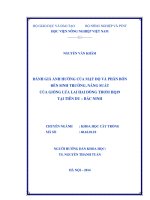 đánh giá ảnh hưởng của mật độ và phân bón đến sinh trưởng, năng suất của giống lúa lai hai dòng thơm hq19 tại tiên du – bắc ninh