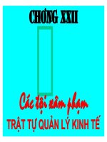 Các Tội Xâm Phạm Trật Tự Quản Lý Kinh Tế