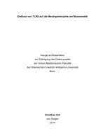 Einfluss von TLR9 auf die herzhypertrophie am mausmodell