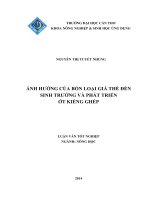 ảnh hưởng của bốn loại giá thể đến sinh trưởng và phát triển ớt kiểng ghép 
