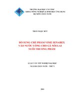 bổ sung chế phẩm vime senarex vào nước uống cho gà nòi lai nuôi thương phẩm