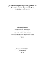 Der einfluss chronischer corticosteron applikation auf