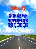 Các Tội Xâm Phạm An Toàn Công Cộng Trật Tự Công Cộng