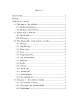 NGHIÊN CỨU ĐẶC ĐIỂM LÂM SÀNG, CẬN LÂM SÀNG VÀ ĐÁNH GIÁ KẾT QUẢ ĐIỀU TRỊ RUỘT THỪA VIÊM CHƯA BIẾN CHỨNG Ở PHỤ NỮ MANG THAI BẰNG  PHẪU THUẬT NỘI SOI