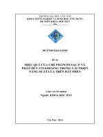 hiệu quả của chế phẩm penacp và phân hữu cơ khoáng trong cải thiện năng suất lúa trên đất phèn