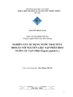 nghiên cứu sử dụng nước thải túi ủ biogas với nguyên liệu nạp phân heo tưới cây vạn thọ (tagetes patula l.)