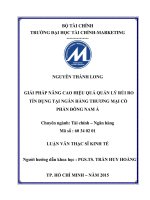 giải pháp nâng cao hiệu quả quản lý rủi ro tín dụng tại ngân hàng thương mại cổ phần đông nam á 