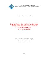 ảnh hưởng của thức ăn hỗn hợp lên sự sinh trưởng của gà tàu  vàng giai đoạn 04 tuần tuổi