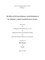 The effect of s1p lyase deficiency on the metabolism of the alzheimer’s related amyloid precursor protein