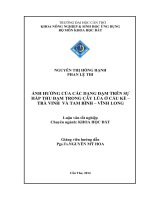 ảnh hưởng của các dạng đạm trên sự hấp thụ đạm trong cây lúa ở cầu kè trà vinh và tam bình vĩnh long