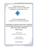 ảnh hưởng của độ sâu ngập nước và độ dày than bùn đến sự đa dạng các loài thực vật bậc cao tại vqg u minh hạ, tỉnh cà mau