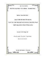 hạn chế rủi ro tín dụng tại các chi nhánh ngân hàng thương mại trên địa bàn tỉnh vĩnh long 