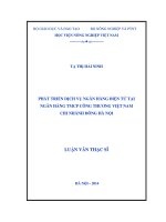 phát triển dịch vụ ngân hàng điện tử tại ngân hàng tmcp công thương việt nam chi nhánh đông hà nội