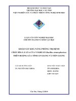khảo sát khả năng phòng trị bệnh cháy bìa lá lúa của vi khuẩn bacillus stratosphericus trên ruộng lúa tỉnh an giang và tiền giang