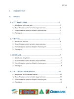 Information Technology for Business Assignment I