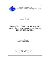 ảnh hưởng của premix kích sữa bổ sung lên heo mẹ giai đoạn nuôi con từ 0 đến 28 ngày tuổi