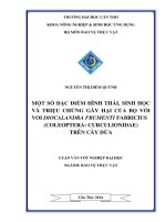 một số đặc điểm hình thái, sinh học và triệu chứng gây hại của bọ vòi voi diocalandra frumenti fabricius (coleoptera: curculionidae) trên cây dừa