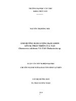 ảnh hưởng hàm lượng đạm amon lên sự phát triển của tảo chaetoceros calcitrans và tảo thalassiosira sp.