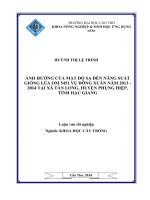 ảnh hưởng của mật độ sạ đến năng suất giống lúa om 5451 vụ đông xuân năm 2013   2014 tại xã tân long, huyện phụng hiệp, tỉnh hậu giang 