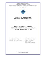 phân lập vi khuẩn nội sinh trong cây sài đất (wedelia chinensis merr.) trồng ở thành phố cần thơ