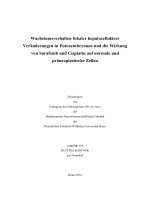 Wachstumsverhalten fokaler hepatozellulärer veränderungen in putenembryonen und die wirkung von sorafenib und cisplatin auf normale und präneoplastische zellen