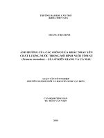 ảnh hưởng của các giống lúa khác nhau lên chất lượng nước trong mô hình nuôi tôm sú (penaeus monodon) – lúa ở kiên giang và cà mau