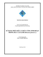 sử dụng phân hữu cơ bùn cống sinh hoạt trồng rau cải xanh (brassica juncea l.)