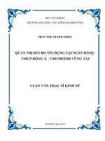 Quản trị rủi ro tín dụng tại ngân hàng TMCP đông á   chi nhánh vũng tàu 