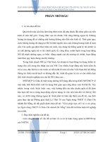 BẢN THẢO KHÓA LUẬN: GIẢI PHÁP HẠN CHẾ RỦI RO TÍN DỤNG TẠI NGÂN HÀNG TMCP Á CHÂU CHI NHÁNH ĐÀ NẴNG