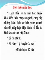 Slide bài giảng Luật Đầu tư