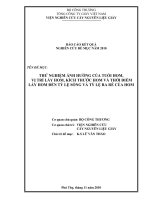 THỬ NGHIỆM ẢNH HƯỞNG CỦA TUỔI HOM, VỊ TRÍ LẤY HOM, KÍCH THƯỚC HOM VÀ THỜI ĐIỂM LẤY HOM ĐẾN TỶ LỆ SỐNG VÀ TỶ LỆ RA RỄ CỦA HOM