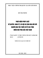 Thực hiện pháp luật về quyền kinh tế, xã hội và văn hóa  đối với người dân tộc thiểu số ở các tỉnh miền núi phía bắc việt nam hiện nay (TT) 