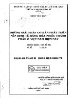 Những giải pháp cơ bản phát triển nền kinh tế hàng hóa nhiều thành phần ở việt nam hiện nay 