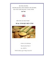 tinh bột biến tính