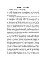 Thực trạng vấn đề phát triển nông thôn ở các nước Châu Á và ở Việt Nam